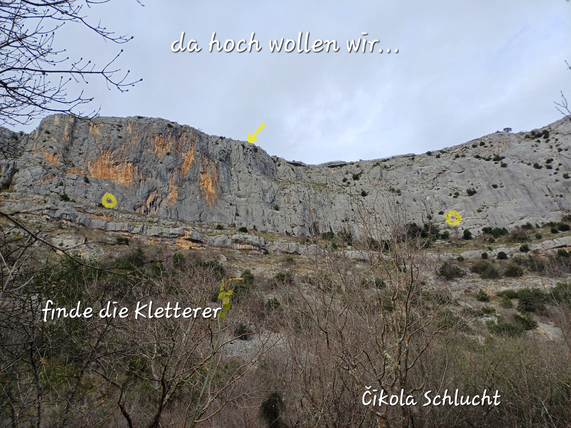 Hoch