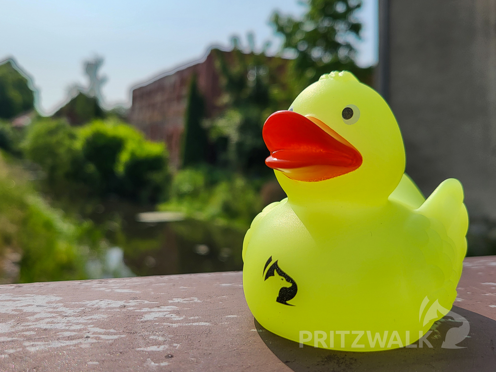 Wo auch immer es in den Urlaub hin geht, die Pritzwalk-Ente sollte dabei sein. Foto: Stadt Pritzwalk