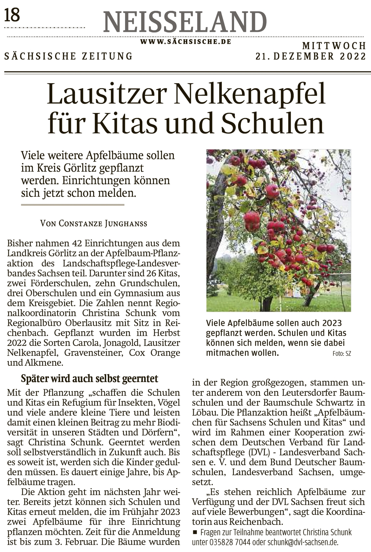 Artikel