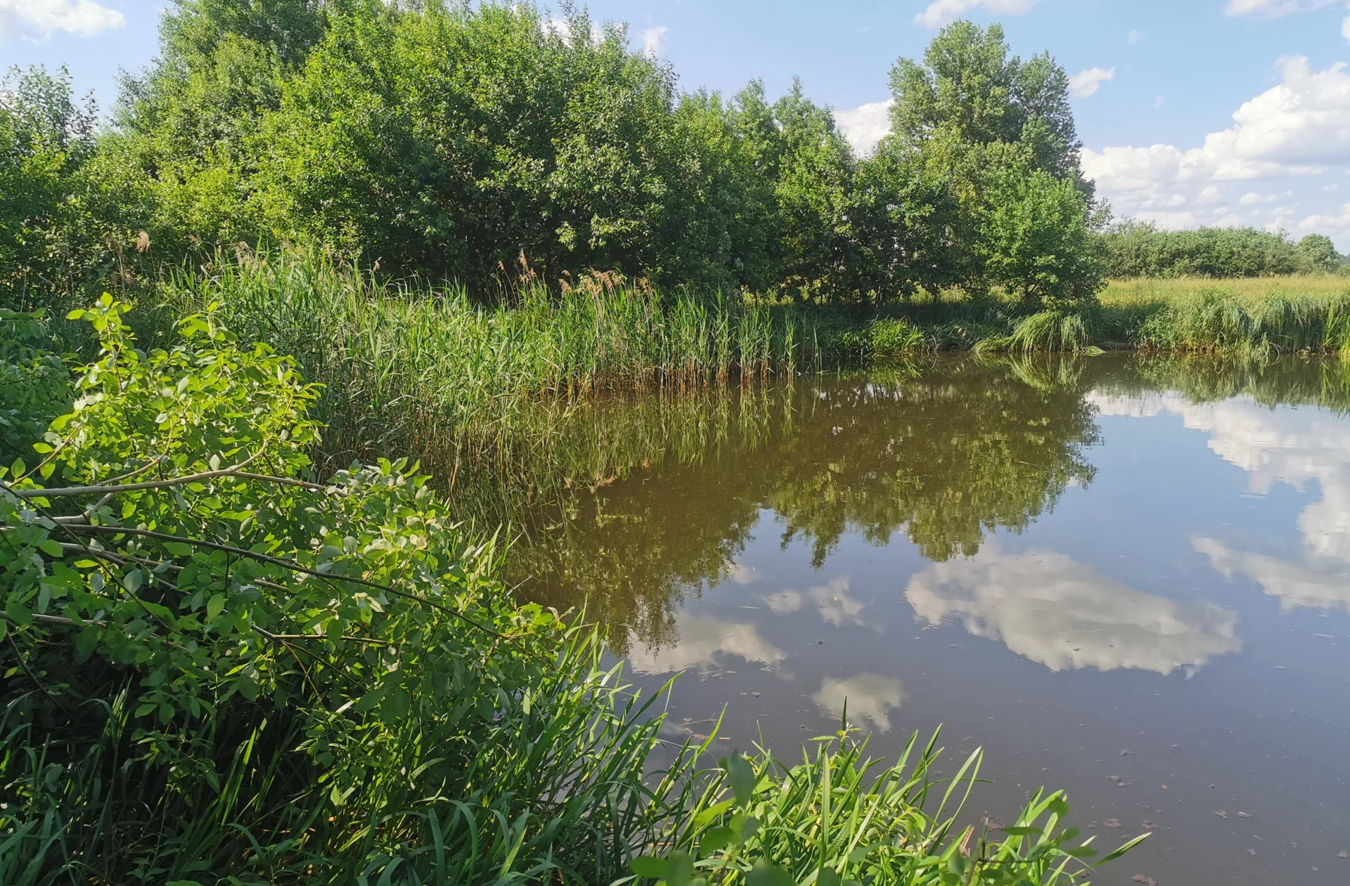 Bild 1: Teich bei Lindhorst