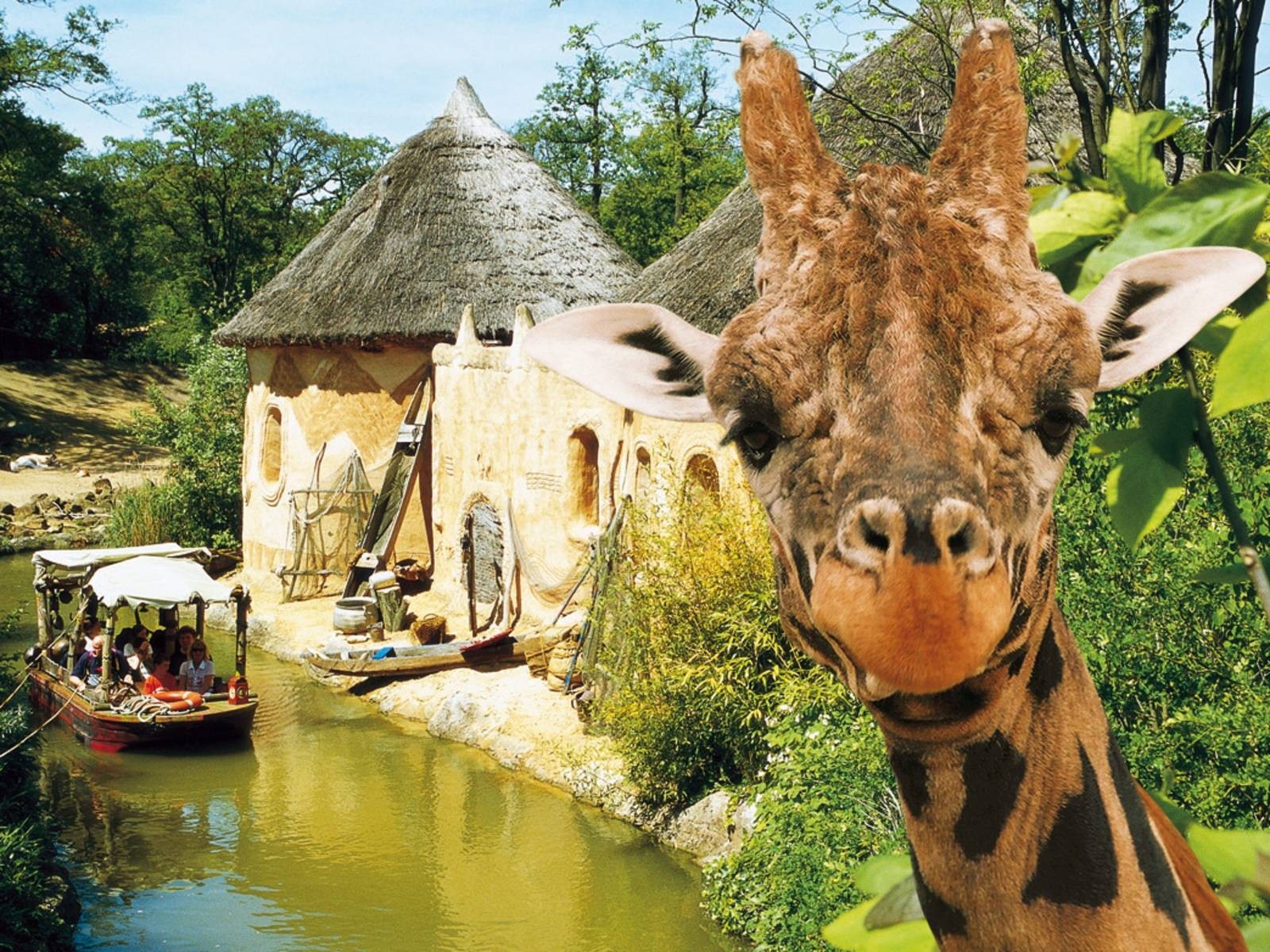 Zoo Hannover