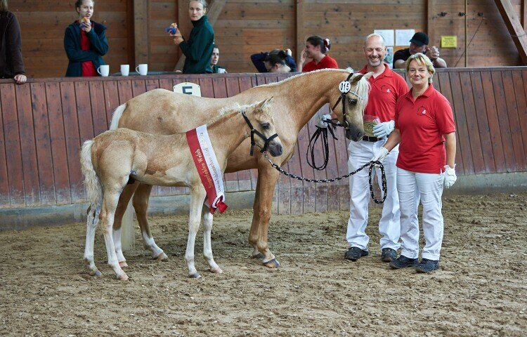 750x480-crop-90-tequilla_joe__welsh_b__z_alexander_und_katja_berghof_obertiefenbach