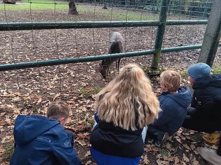 Bild1