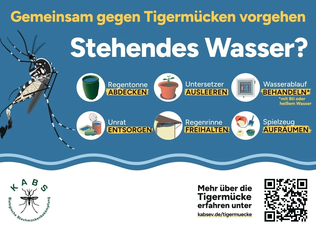 Tigermücke