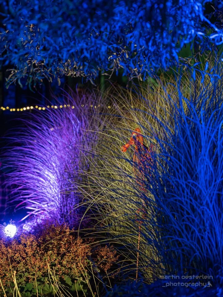 csm_11_-_Martin_Oesterlein_Leuchtender_Krautergarten_24-11_111141c2c6