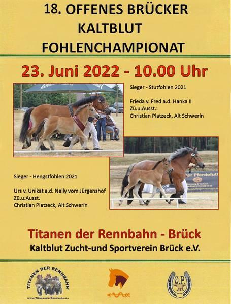 Plakat 18. offenes Brücker Kaltblut Fohlenchampionat