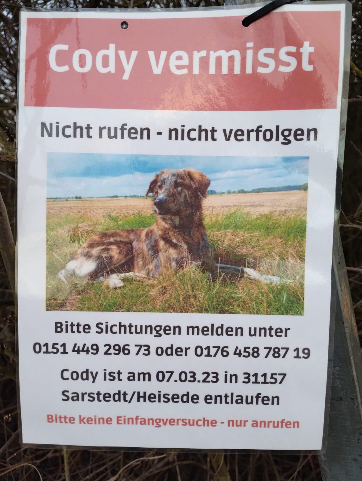 Hund in Gleidingen