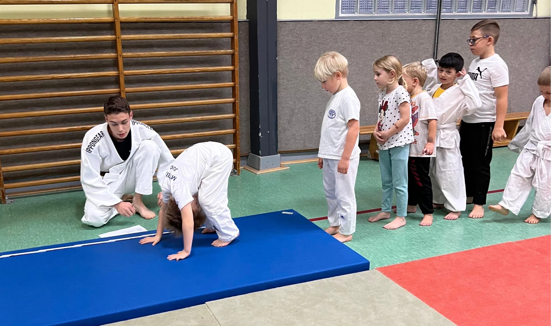 Judo-Safari Rollen
