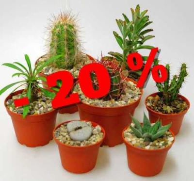 20 % Rabatt (Bild vergr&ouml;&szlig;ern)
