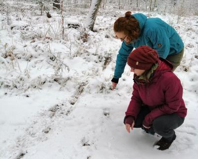 Nicole Schrader (vorn) und Julia Geuder lesen frische Spuren im Schnee. Wildschweine haben hier den Weg gekreuzt. Foto: Ingrid Hoberg