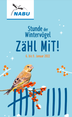 NABU - Stunde der Wintervögel