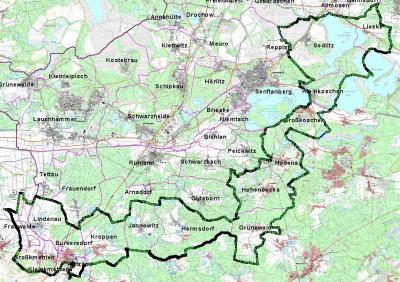Afrikanische Schweinepest: Der Landkreis Oberspreewald-Lausitz legt eine Sperrzone fest