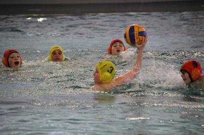 Foto zur Meldung: Wasserball Ostdeutsche Meisterschaft U12 Vorrunde in Zwickau