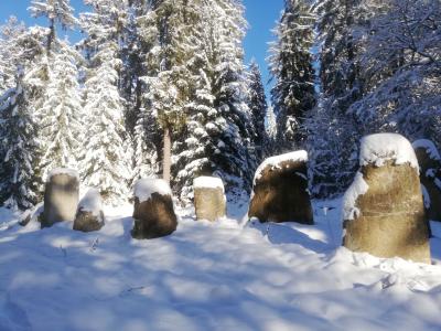 Walk in Silence - achtsame Winterwaldwanderung (Bild vergrößern)