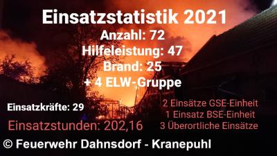 Einsatzstatistik 2021 (Bild vergrößern)