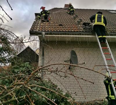 Sturmeinsätze: Feuerwehr beseitigt umgestürzte Bäume