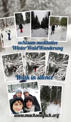 Walk in silence -  Winterwaldwanderung - achtsam - meditativ (Bild vergrößern)