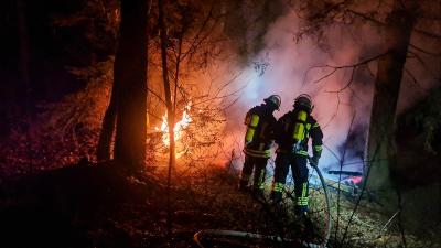 Bild der Meldung: Brennender Holzschuppen im Wald sorgte für einen Feuerwehreinsatz