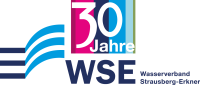 Logo WSE