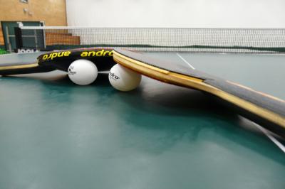 Foto zur Meldung: Tischtennis-Nachwuchs misst sich in der Stadthalle