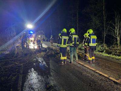 Foto zur Meldung: Aufräumarbeiten nach dem Orkan Zeynep