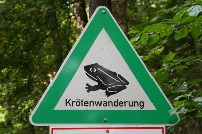 Foto zur Meldung: Straßensperrung wegen Amphibienwanderung