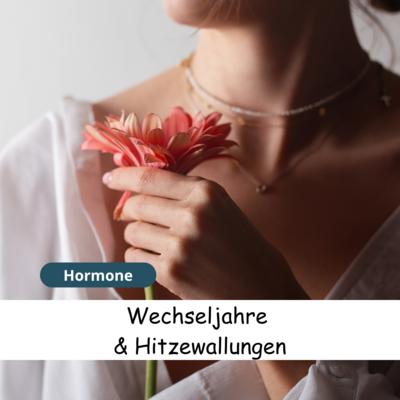 Meldung: Wechseljahre und Hitzewallungen