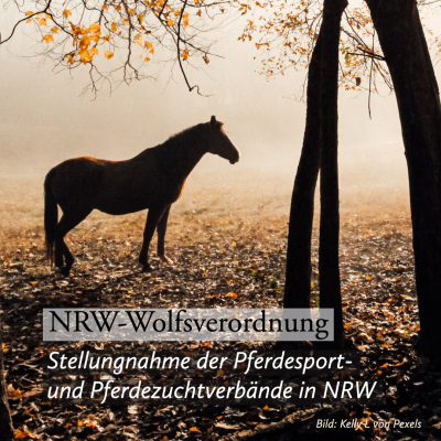 NRW-Wolfsverordnung - Stellungnahme der Pferdesport- und Pferdezuchtverbände in NRW (Bild vergrößern)