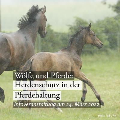 Herdenschutz in der Pferdehaltung - Online-Informationsveranstaltung am 24. März 2022 (Bild vergrößern)