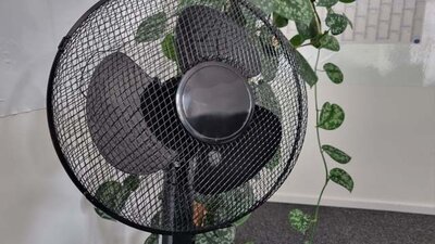Ventilator mit Pflanze im Hintergrund