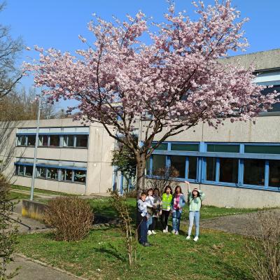 Foto zur Meldung: Sonnige Grüße aus der Hartfeldschule