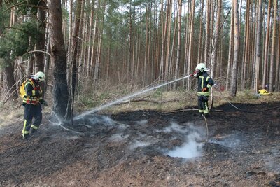 Waldbrand an der A2 bei Lehnin