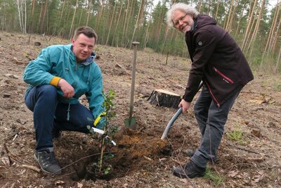Der Ausschuss-Vorsitzende André Bareinz (links) pflanzte gemeinsam mit Bürgermeister Werner Suchner die Stechpalme, den 