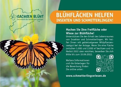 Blühflächen helfen Insekten und Schmetterlingen! - Herbstaussaat 2022 (Bild vergrößern)