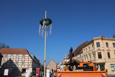 Maibaum auf dem Kyritzer Marktplatz aufgestellt