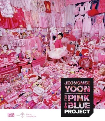 JeongMee Yoon - The Pink and Blue Project