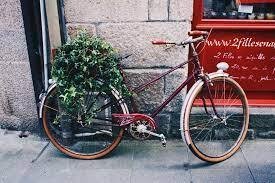 Fahrrad mit Blumen an der Hauswand