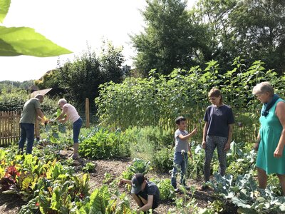 Meldung: Gartenprojekt - zur Zeit noch im Trockendock!