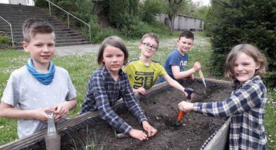 Meldung: Pflanzaktion im Schulgarten