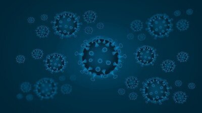 Corona-Virus: 238 Neuinfizierte, 432 Genesene, 34 stationär