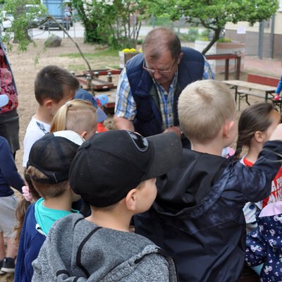 Foto zur Meldung: 20. Mai Weltbienentag in Groß Laasch in unserem Kindergarten