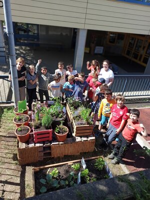 Foto zur Meldung: Ein lange gehegter Wunsch ist in Erfüllung gegangen – Schüler der Hartfeldschule legen einen kleinen Schulgarten an