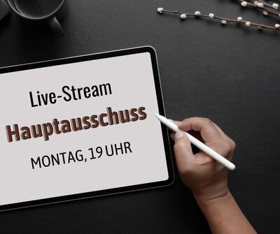 Sitzung des Hauptausschusses der Stadt Herzberg(Elster) heute im Live-Stream (Online-Sitzung)