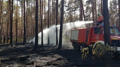 Waldbrände werden weiterhin bekämpft