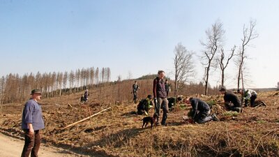 Schüler der Sekundarschule Olsberg-Bestwig pflanzen 2100 Bäume