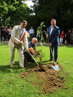Gemeinsam pflanzten Bürgermeister Menn und Bürgermeister Fichtner eine Birke als Wappenbaum von Mainburg in Liancourt.