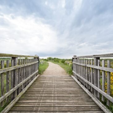 Meldung: Döberitzer Heide