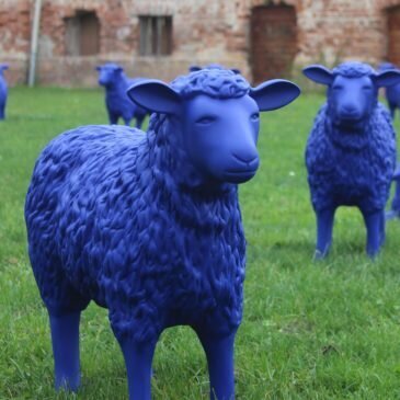 Meldung: Blaue Schafe weiden in Schönwalde Dorf