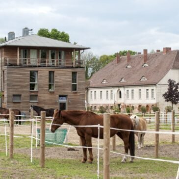 Meldung: Schlossgut Schönwalde