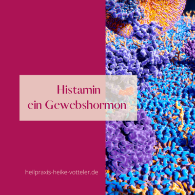 Blog: Histamin Symptome (Bild vergrößern)